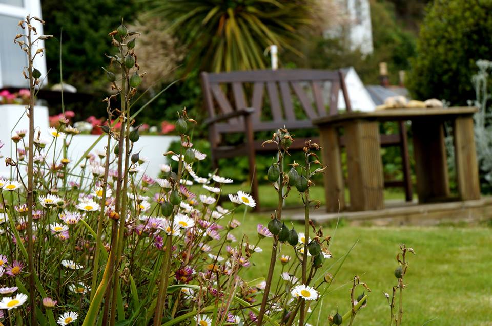 10402751_10204078706187407_5842658438427663425_n