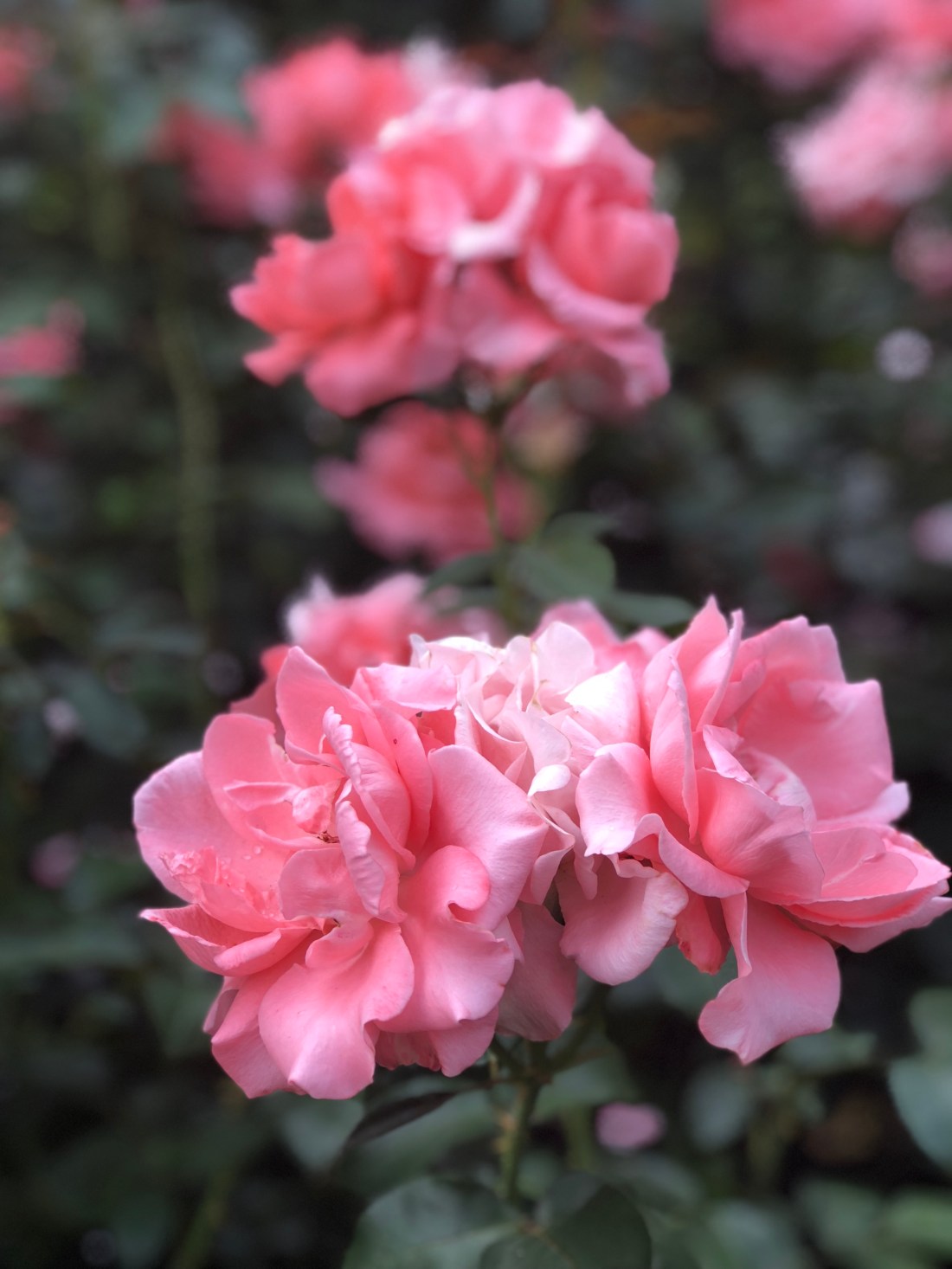 EE4E5077-0D92-49E3-B142-5F42DE878E94