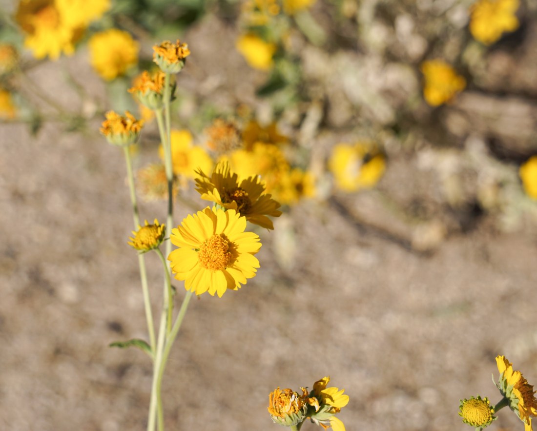 2aad602a-57d6-424e-8138-815148ee01fe