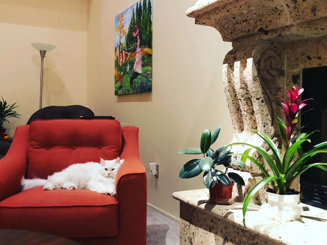 43661830_10218289762654937_1783002844836659200_o