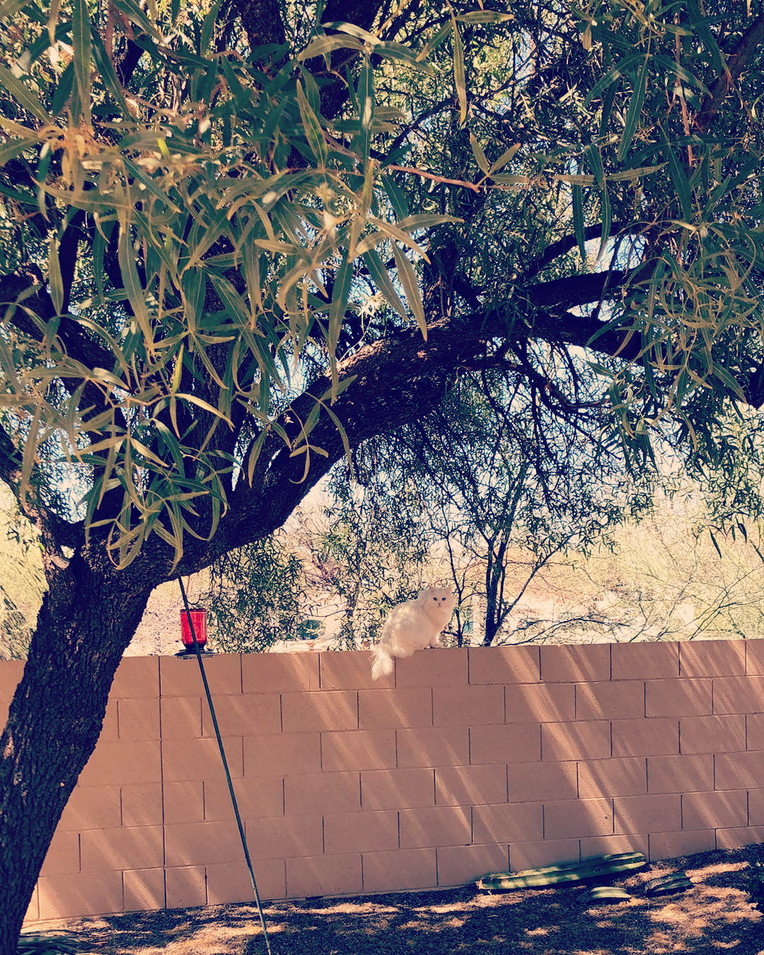 DA331260-F70E-44C7-8742-942DFF53C7FC