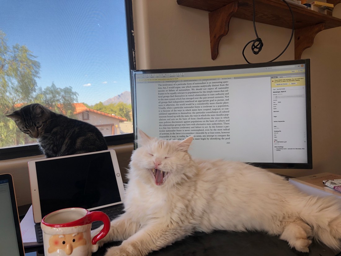 CA0C9352-C0FD-4BD3-9D74-624A0D11F967