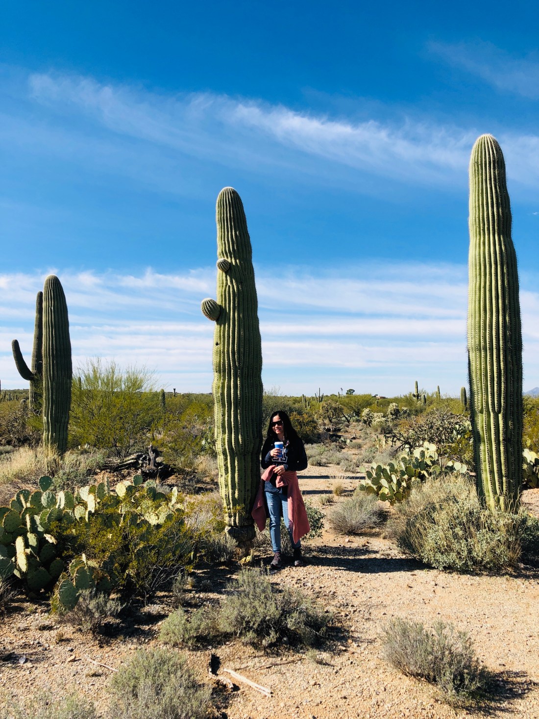 B2E5C458-DE48-4D6A-978B-6A1FDD8074AD